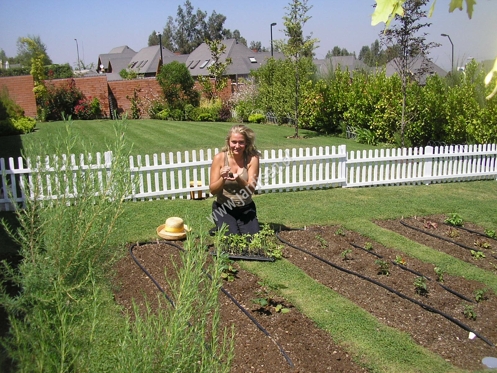 Ana Mar�a iniciando sus plantaciones en Pe�alol�n.